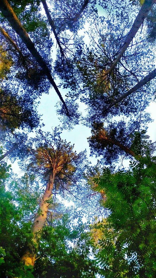 Подборка разных красивых фото