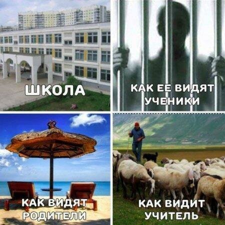 Картинки, юмор