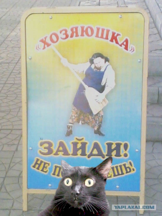 Рекламный щит около магазина