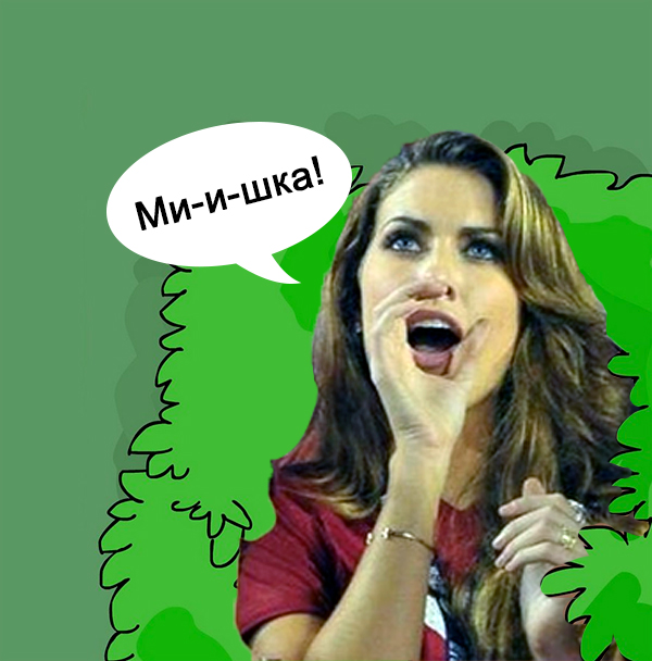 Фотожаба  Болельщица