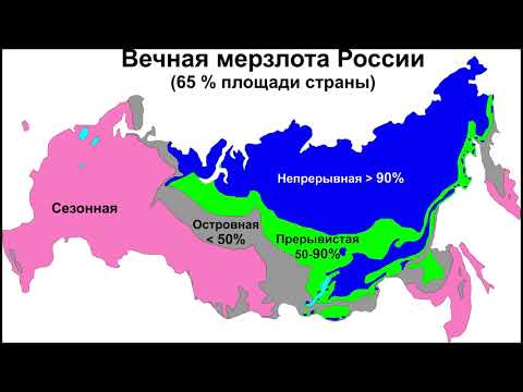 Секвойи в Калифорнии
