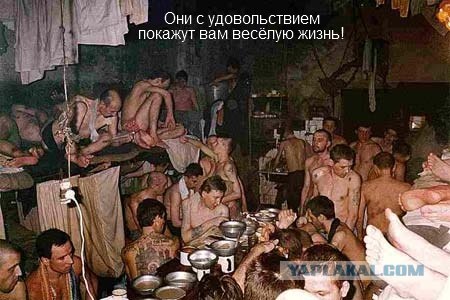 Они буду рады с вами познакомиться