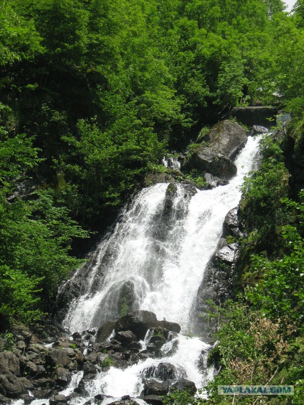 Абхазия (49 фото)