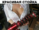 Хотела сексуальное селфи, но спугнули