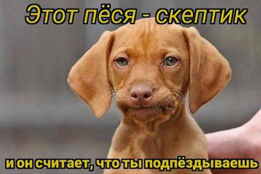 Boeing впервые с 1962 года не получил в январе заказов на самолеты