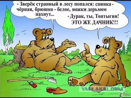 Даёшь картинкой по среде (26.02.2020)