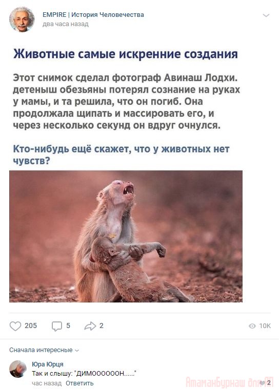 Комментарии к постам в разных группах, которые вызвали улыбку
