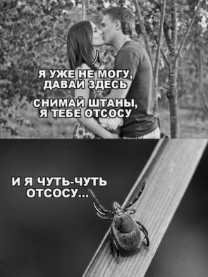 Немного картинок для настроения 02.05.20