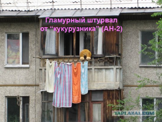 Конкурс: подпись к картинке