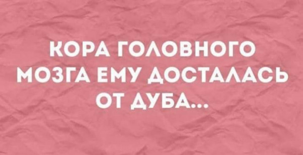 Деньги делаются на чужой беде