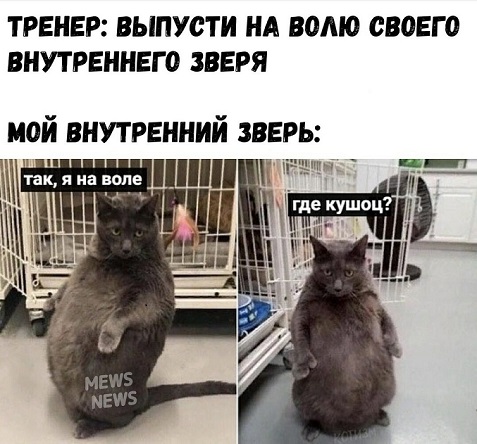 Немного картинок для настроения 116