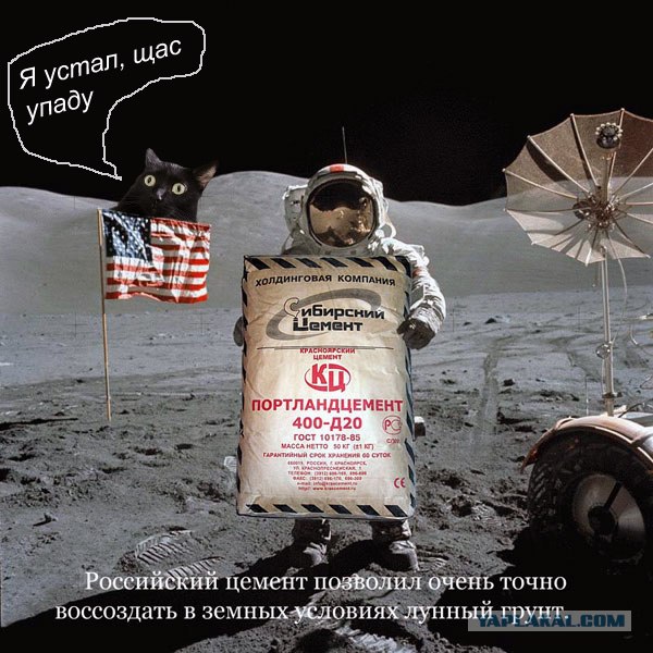 Киса хочет жабы