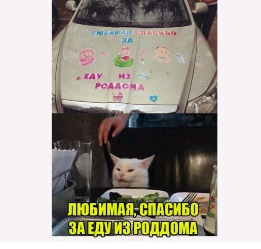 15057540.jpg