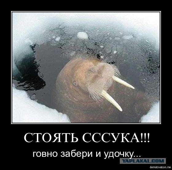 ЯЗЬ! (Hard Dubstep Edit)