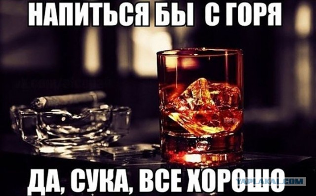 Алкопост  09.04.21