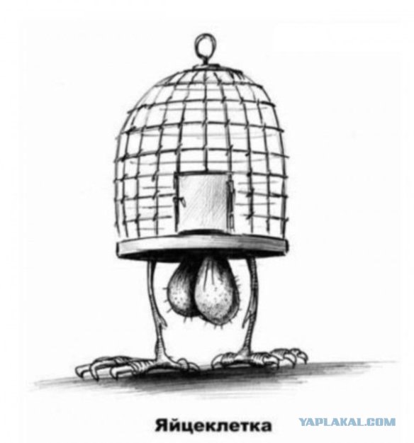 Песенка про яички, Малышева снова жжет, теперь яйца