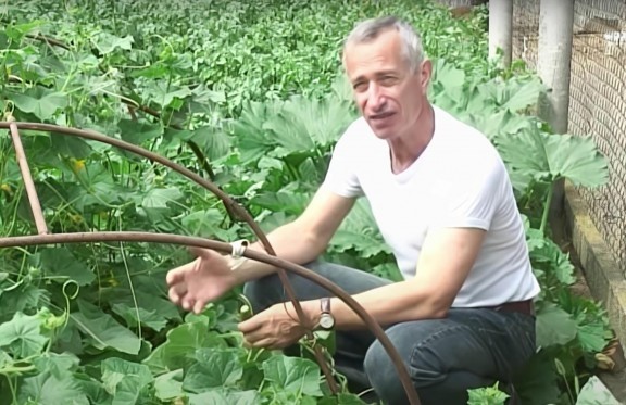 Самое странное место на планете. Почему на Сахалине обычные растения достигают гигантских размеров?