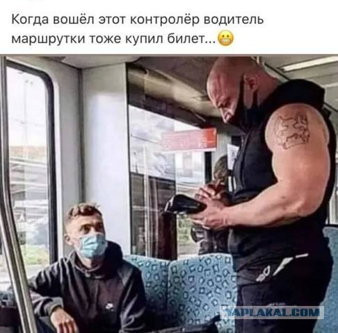 Баранный вируссологический пикчерзз