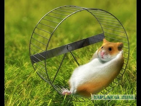 Сингапур представил кардинально новую стратегию борьбы с COVID-19