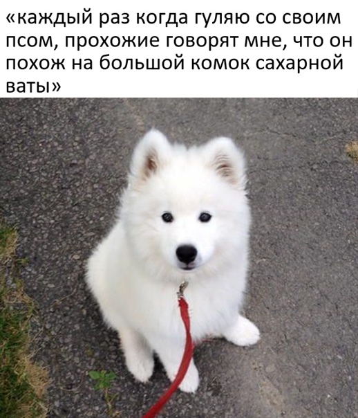 Картинки и мемы для настроения 28.10.2021