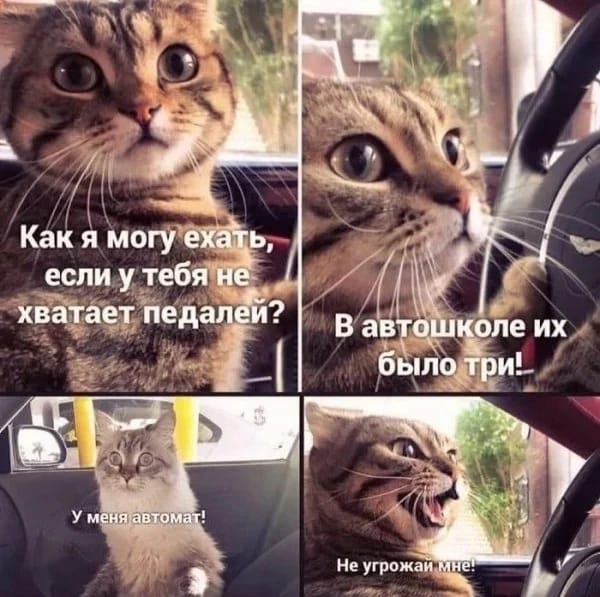 Не на нас, а на вас