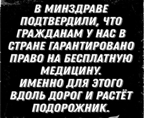 Студенты барнаульского медколледжа пожаловались на то, что их ничему не учат