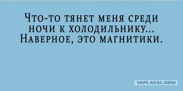 Весёлый полтишок 01.04