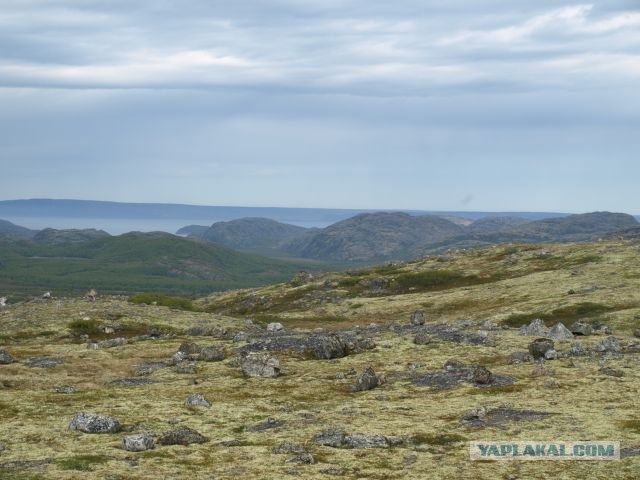 Кольский полуостров