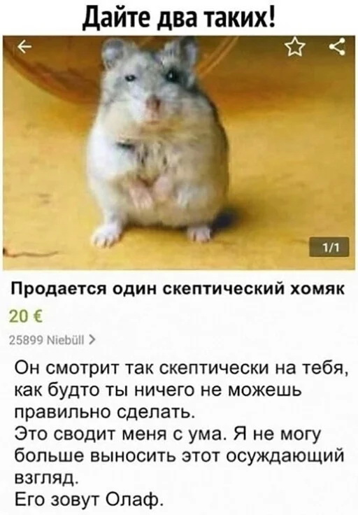 Картинки и мемы для настроения - 133