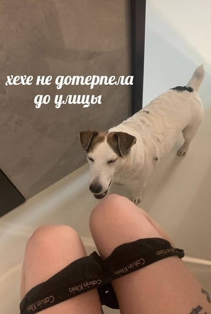 В тяжёлый понедельник хочется немного деградации
