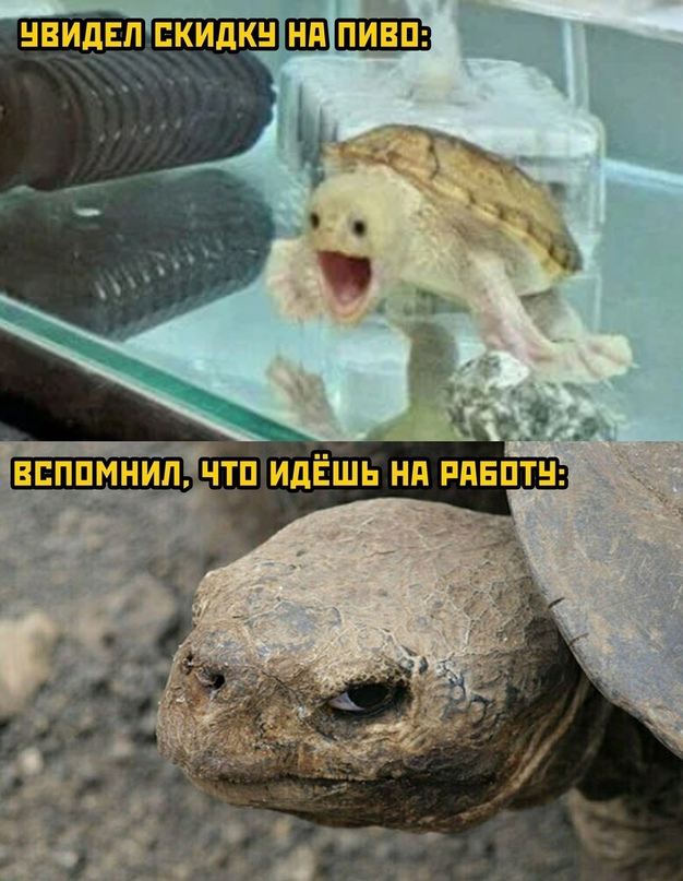 Картинки и мемы, это май-чародей всяко разно - 177