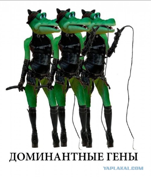 У Хантера Байдена хорошие гены и ведь хрен поспоришь