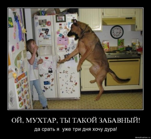 Приколы и мемы с налетом 2000-х