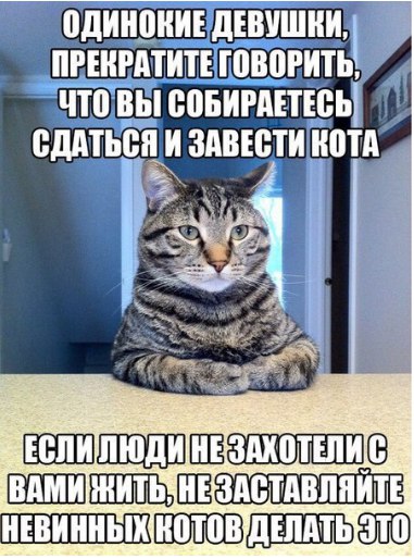 Так себе картинки 19.05.24