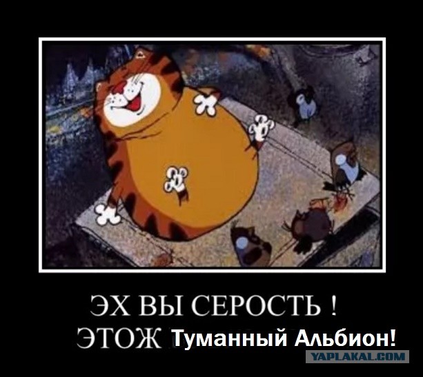 Простите, а это точно снято в Англии?