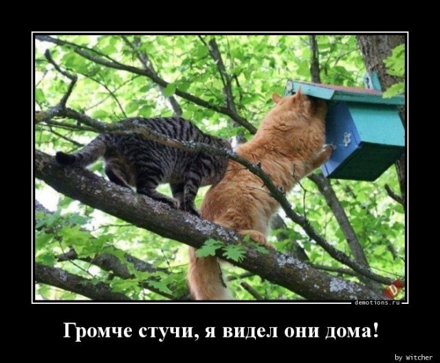 Картинки с надписями 12.08.24