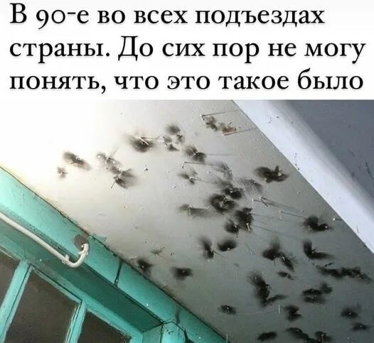 Поколение Джимми-Нейтрона тоже старое?