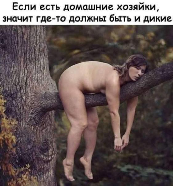 Так себе картинки 24.02.25