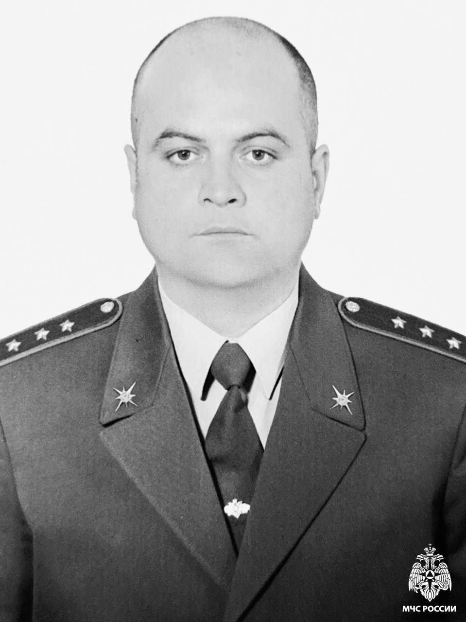 Спасатель МЧС погиб в детском саду, спасая кошку с дерева