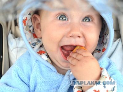 Сладкая коллекция от Королевы десертов