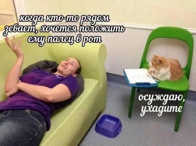 Картинки для деградации 46 (разной степени свежести)