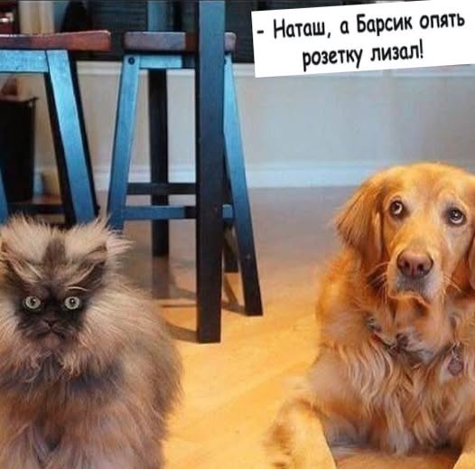 Картинки для деградации 56 (разной степени свежести)