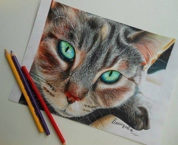 Рисунок цветными карандашами