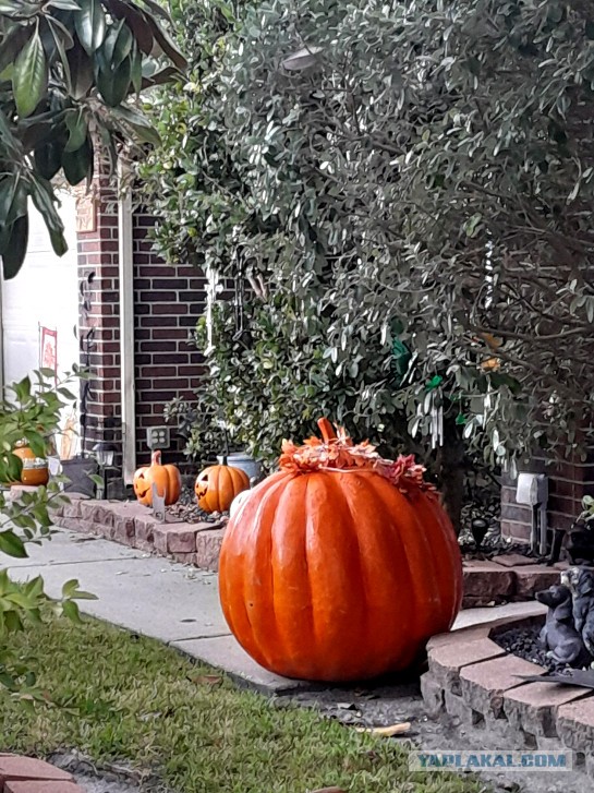 Техас готов к Хэллоуину