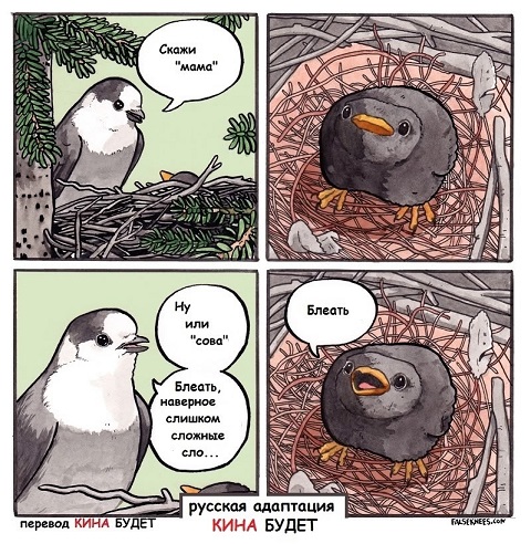 Мой кот