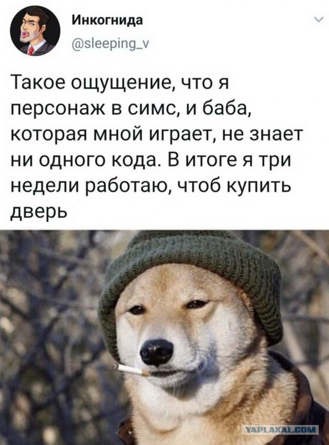 Субботим по баянам