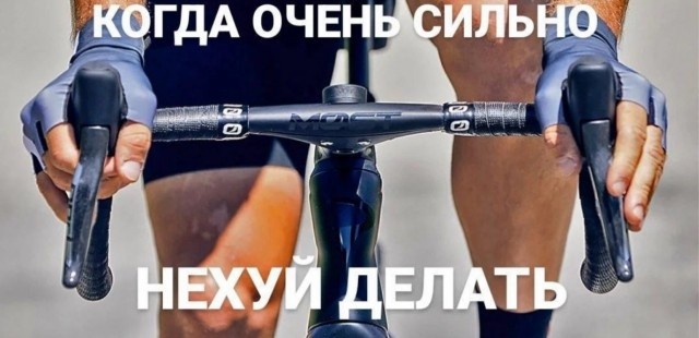 Веселое настроение в картинках (06.05.2026)