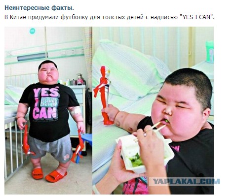 Неинтересные факты или юмор абсурда