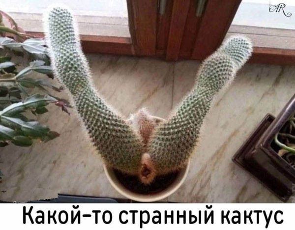 Картинки воскресные