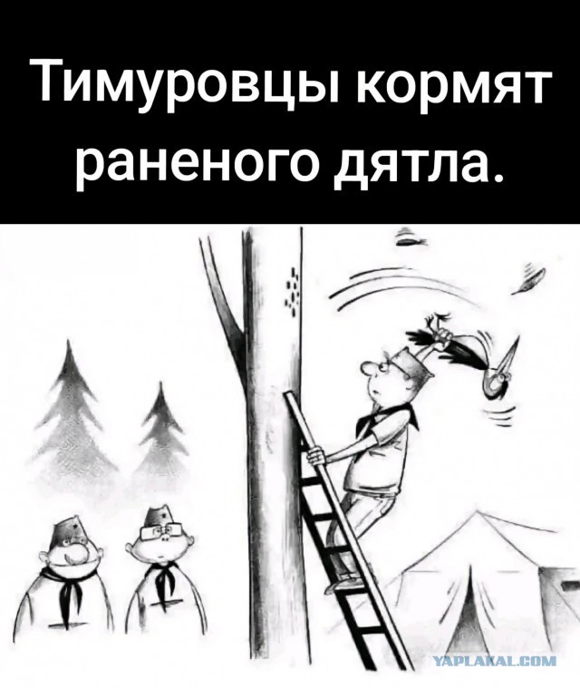Мда уж....